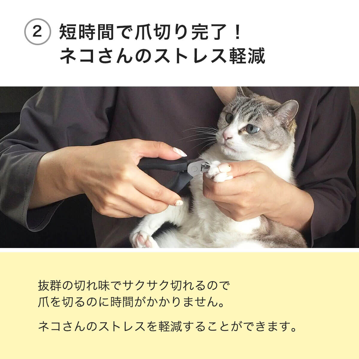 楽天市場】猫にストレスが少ない 爪切り 猫専用 SUWADA [ ねこずき