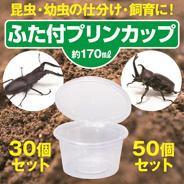 カブト虫、クワガタ虫等産卵飼育セット一式 ブロック崩し付き カブト虫