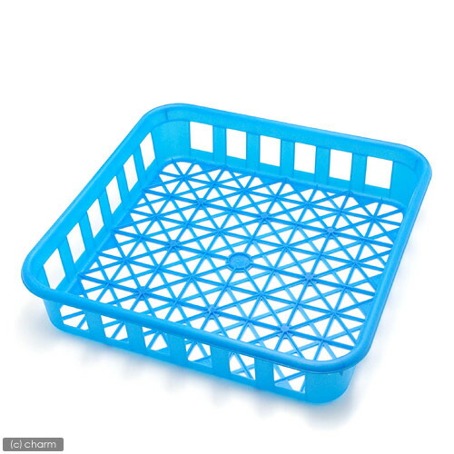 楽天市場】【3／1限定】当選確率2分の1！1等最大100％ ボトル