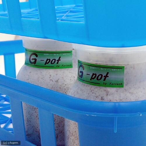 楽天市場】【3／1限定】当選確率2分の1！1等最大100％ ボトル