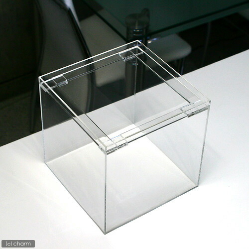 楽天市場】水槽 アクリル水槽（サイズ：200×200×200mm 板厚