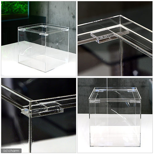 楽天市場】水槽 アクリル水槽（サイズ：200×200×200mm 板厚