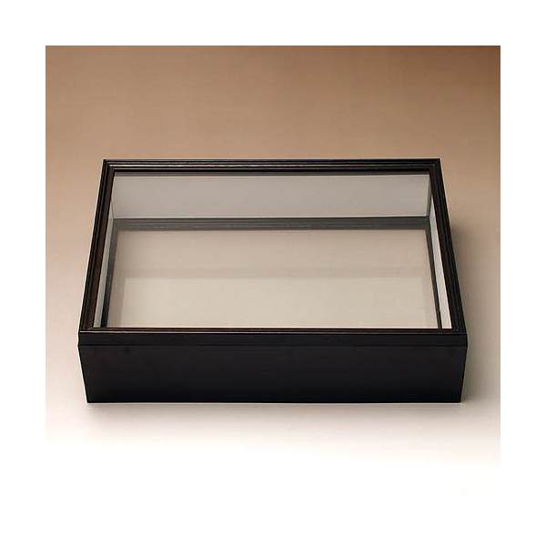 楽天市場】シーラ箱 （両面ガラスタイプ） 昆虫 標本用品 標本箱 関東