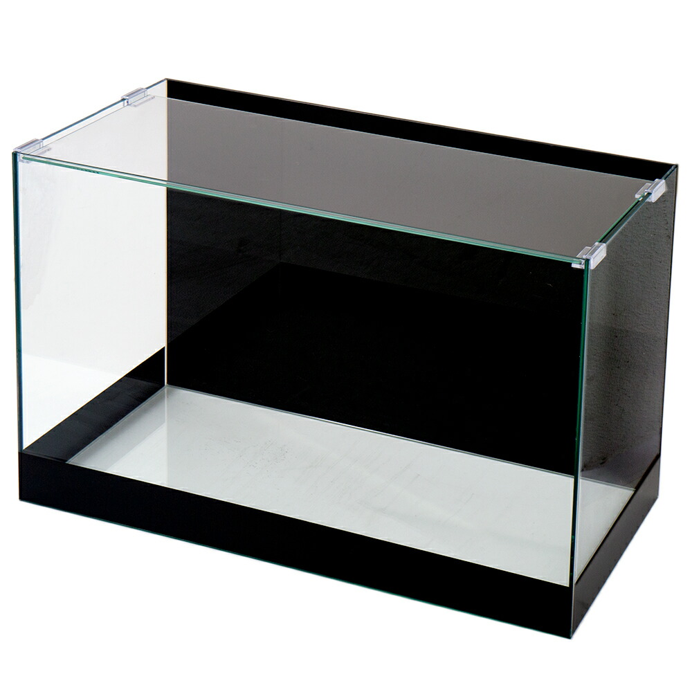 楽天市場】バックスクリーン貼付済 ジェットブラック 前側面5cm帯