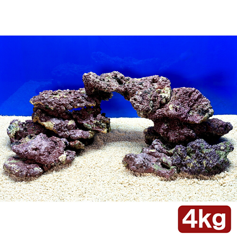 天然ライブロック ビーフカツレツ 天然ライブロック ビーフカツレツ