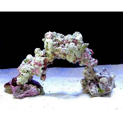 楽天市場】（海水魚）ライブロック ミニアーチセット（形状お任せ
