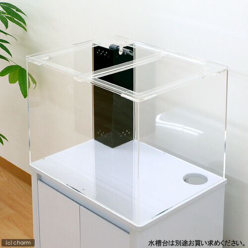 楽天市場】メーカー直送 水槽 アクリル水槽 OFコーナー付（サイズ