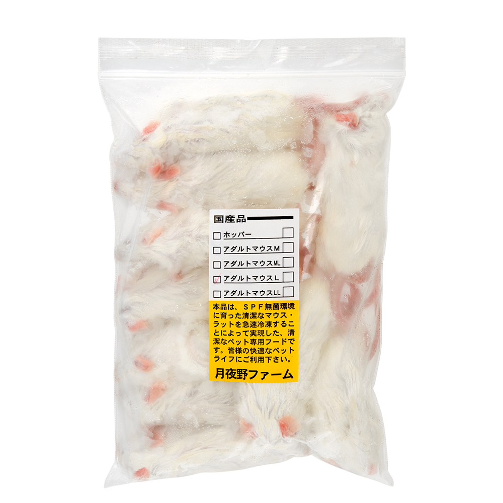 楽天市場】冷凍マウスの通販