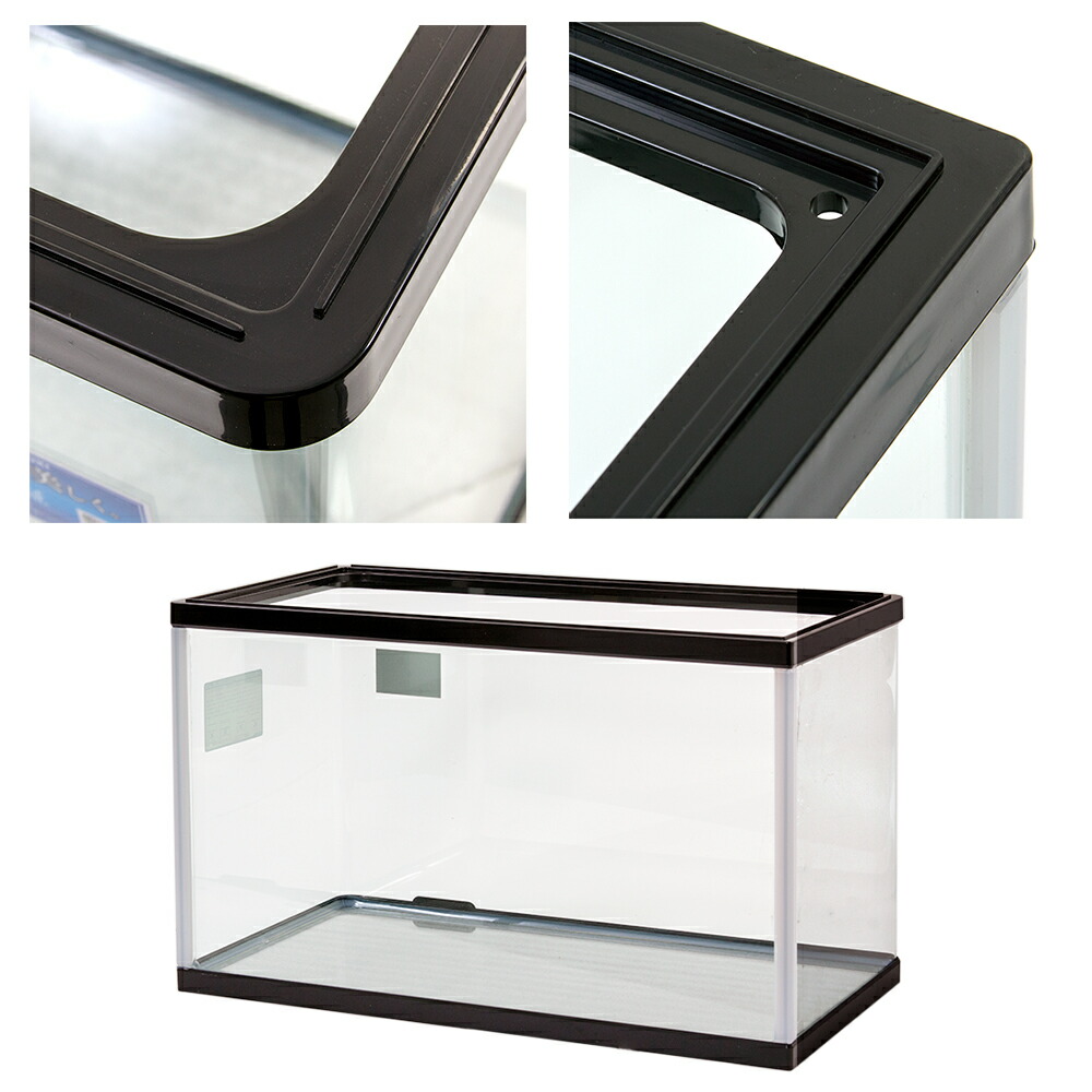 楽天市場】コトブキ工芸 プログレ600 水槽単体 60×30×36cm