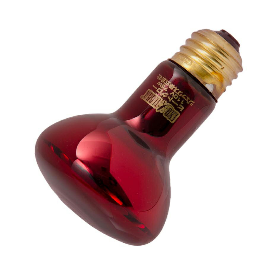 楽天市場】【3／1限定】当選確率2分の1！1等最大100％ GEX