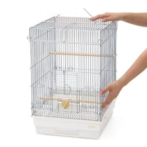 楽天市場】【3／1限定】当選確率2分の1！1等最大100％ 鳥かご