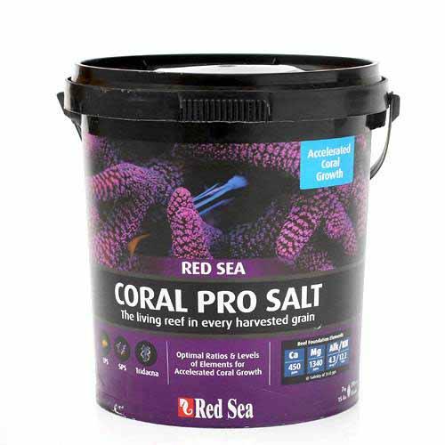 楽天市場】【3／1限定】当選確率2分の1！1等最大100％ 【送料