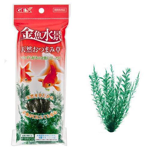 楽天市場】GEX 金魚水景 天然おつまみ草 関東当日便 : charm 楽天市場店