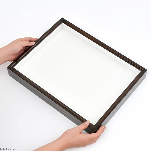 中型標本箱 3箱 ペフ板 1枚 中型標本箱 3箱 ペフ板 1枚 楽天市場