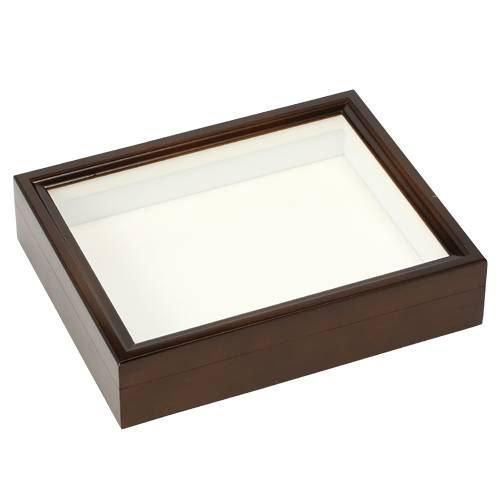 大型標本箱 2箱 6角標本箱 1箱 大型標本箱 2箱 6角標本箱 1箱 楽天市場