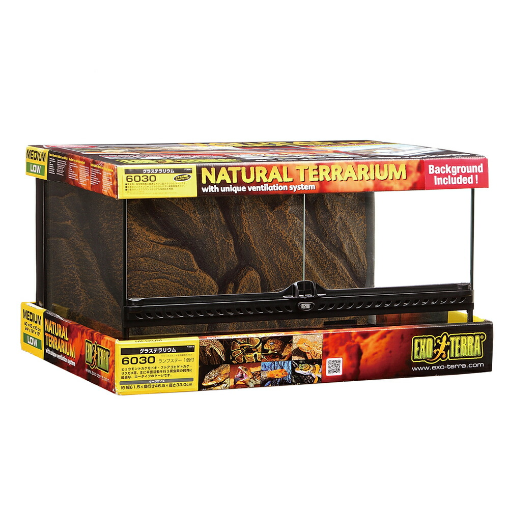 楽天市場】gex エキゾテラ グラステラリウム 6030の通販