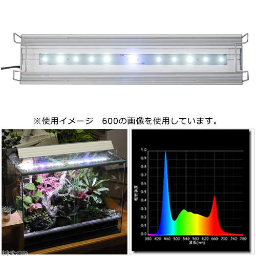 楽天市場】アクロ TRIANGLE テラリウム・アクアポニックス