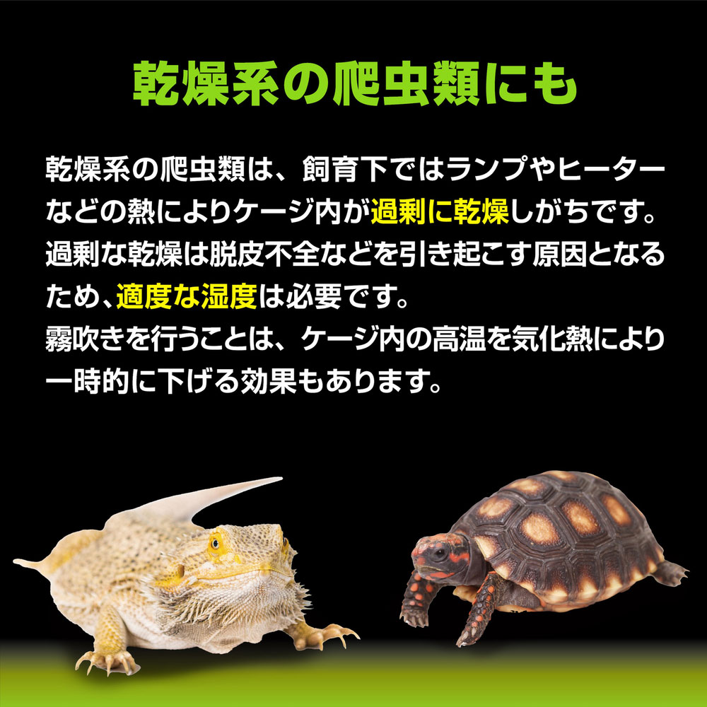 楽天市場】GEX エキゾテラ モンスーンソロ ミスティング カメレオン