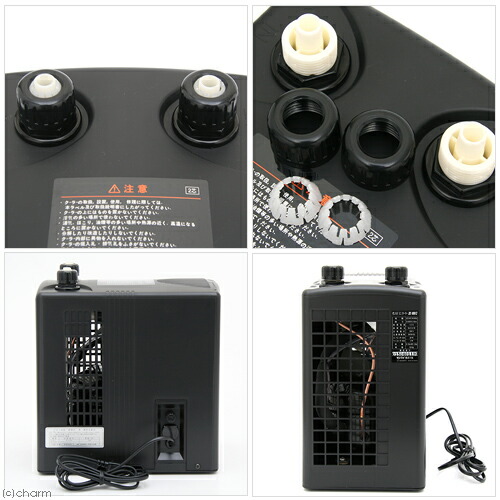 楽天市場】【3／1限定】当選確率2分の1！1等最大100