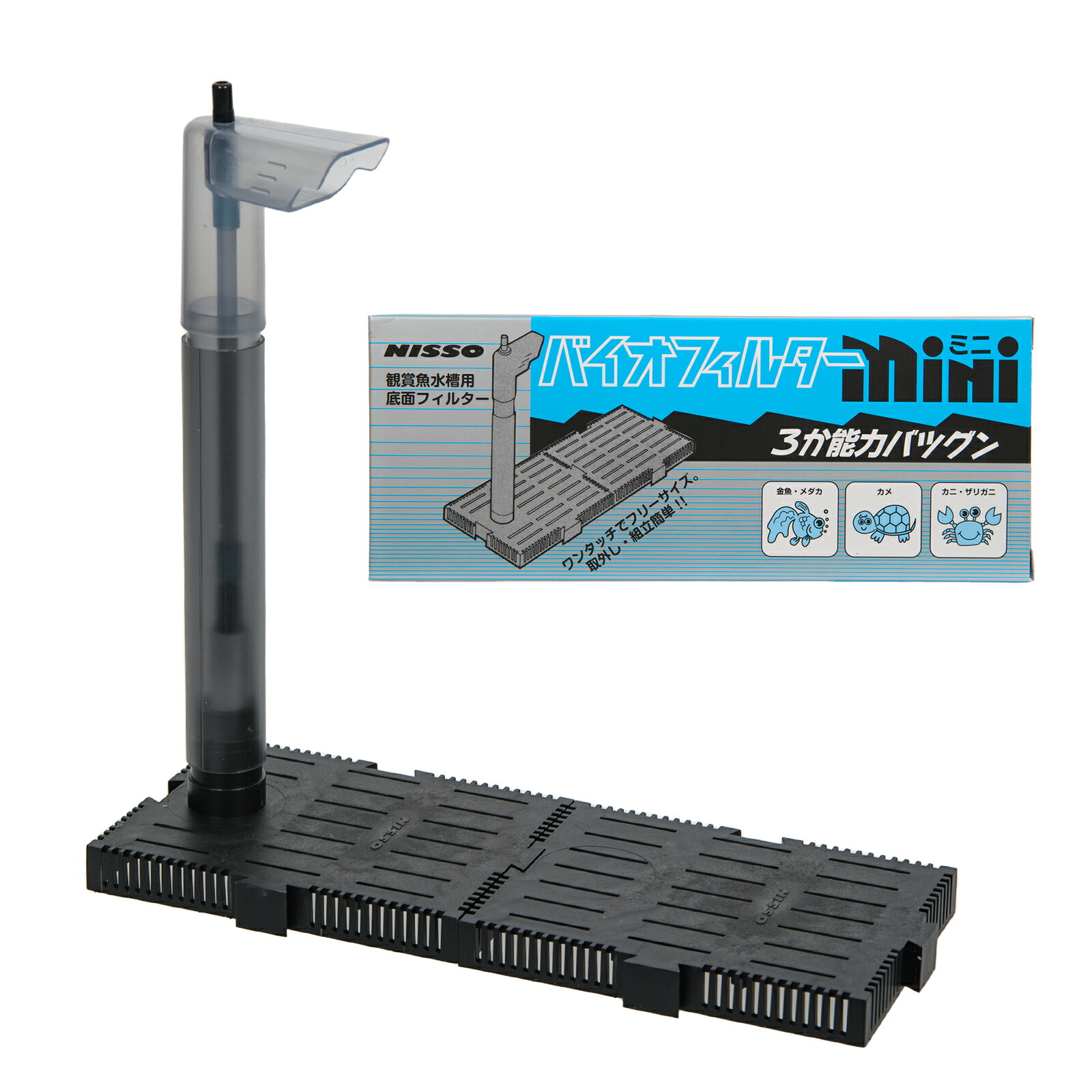 楽天市場】【3／1限定】当選確率2分の1！1等最大100