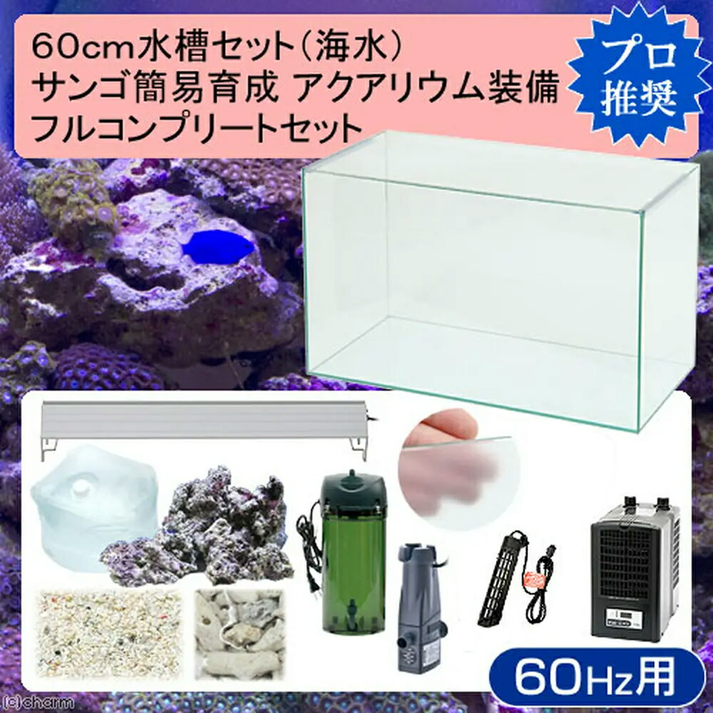 楽天市場】（海水魚）60cm水槽セット サンゴ簡易育成フル