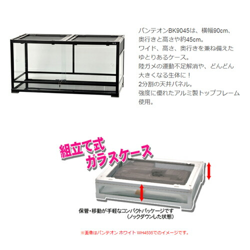 楽天市場】爬虫類ケージ 三晃商会 パンテオン ブラック BK9045