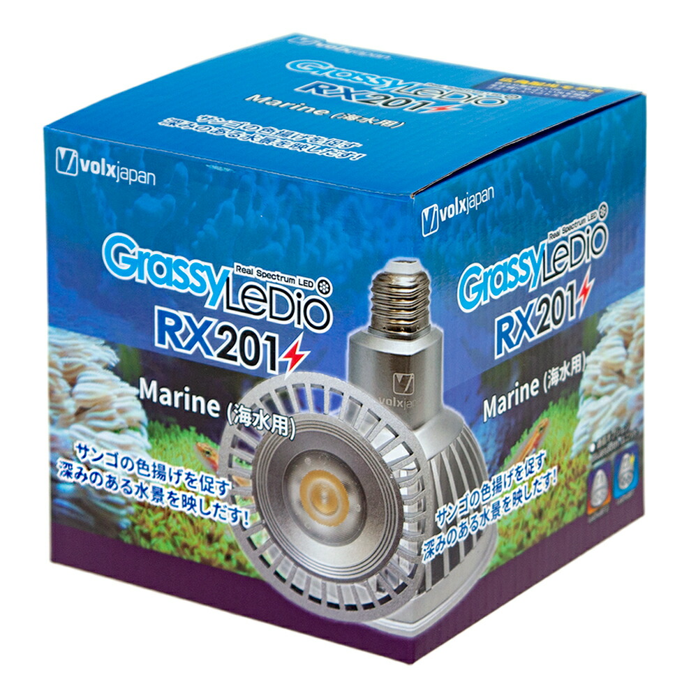 楽天市場】ボルクスジャパン Grassy LeDio RX201