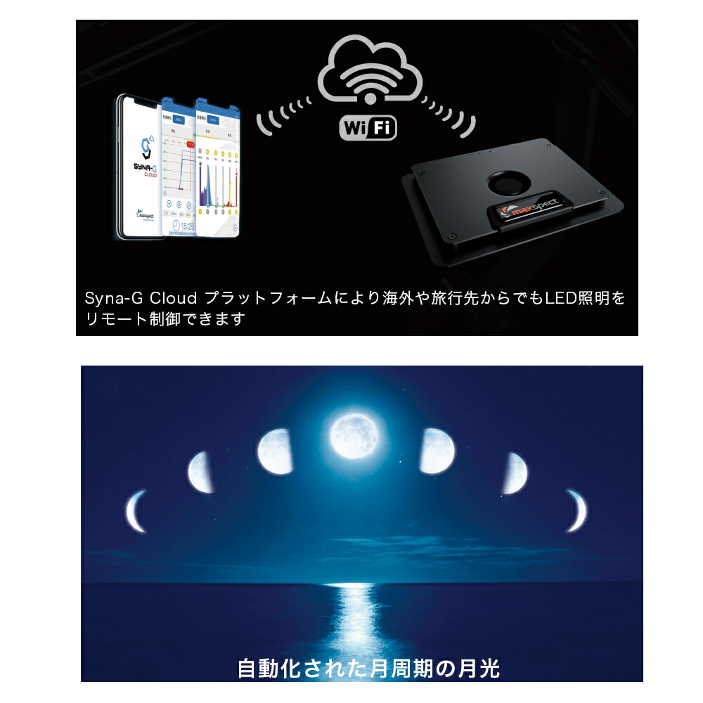 楽天市場】maxspect MJ−L165 LED 海水 サンゴ 水槽