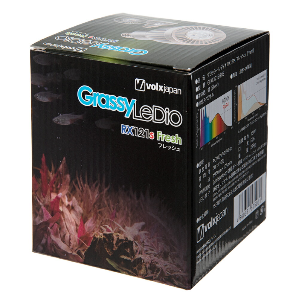 楽天市場】ボルクスジャパン Grassy LeDio RX121s