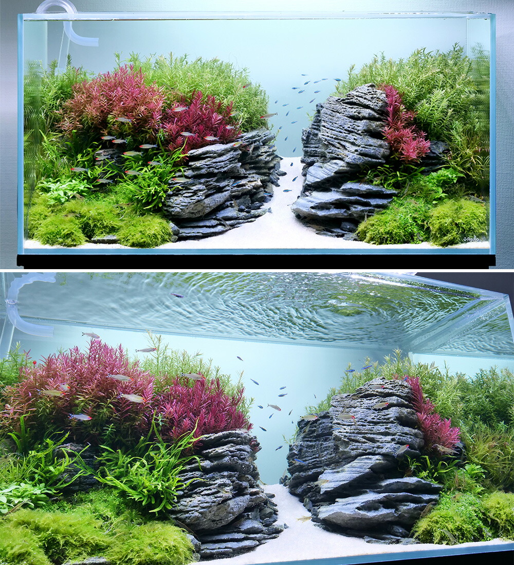 楽天市場】アクロ TRIANGLE LED VIVID 600 水草