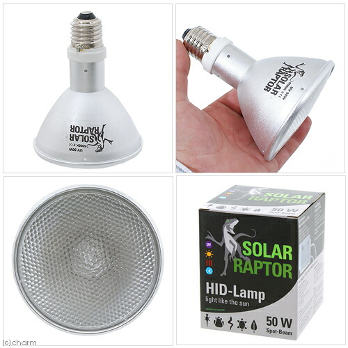 楽天市場】ゼンスイ ソーラーラプター HIDランプ 50W 交換球