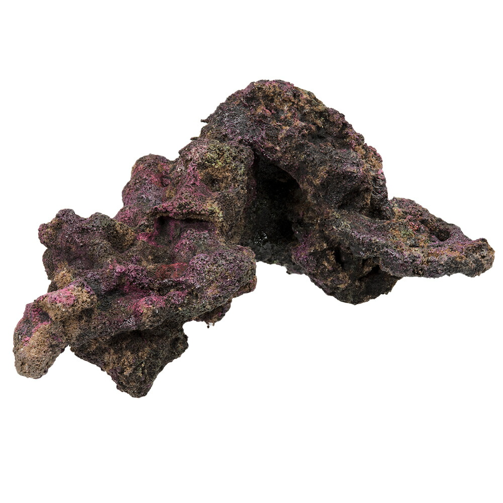 ライブロック 水槽」の人気商品一覧 | 安い商品を通販サイトから探す