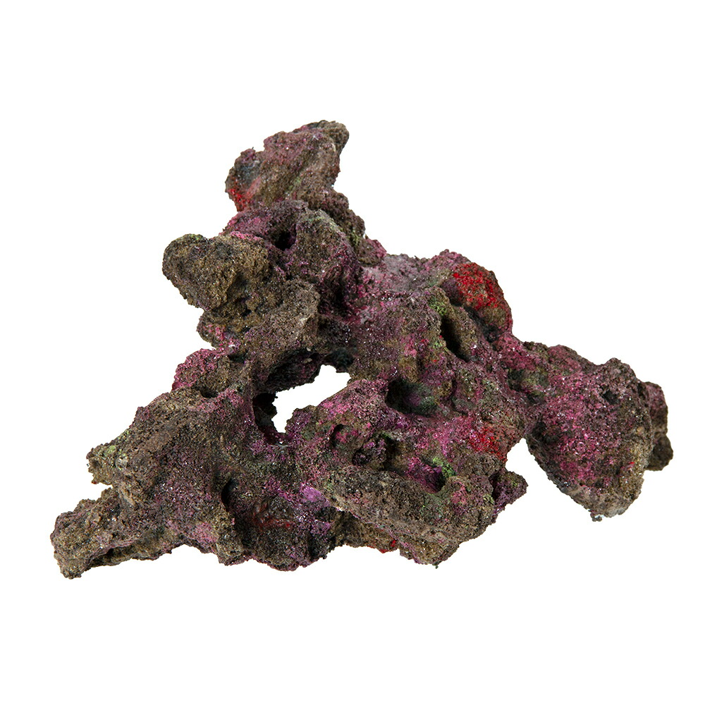 ライブロック 水槽」の人気商品一覧 | 安い商品を通販サイトから探す