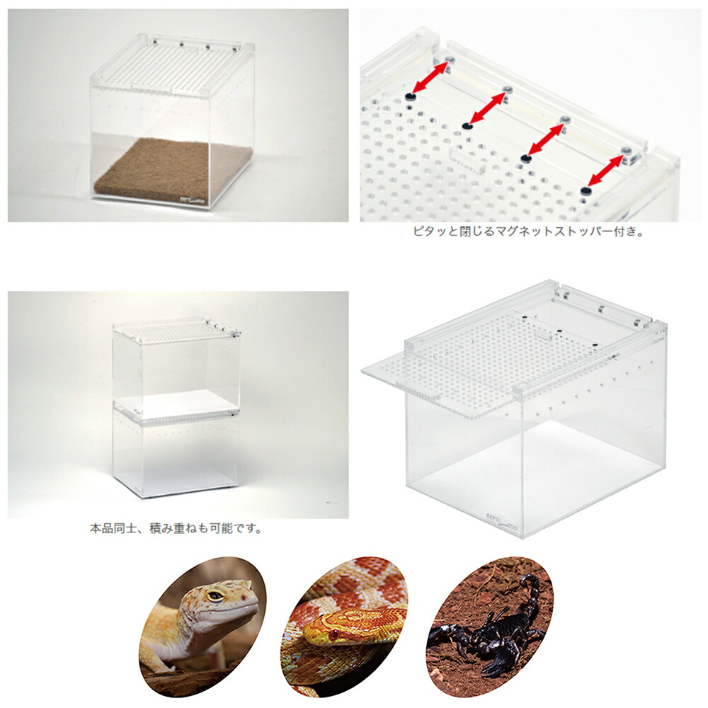 楽天市場】三晃商会 レプタイルボックス ハーフ 爬虫類 飼育ケース
