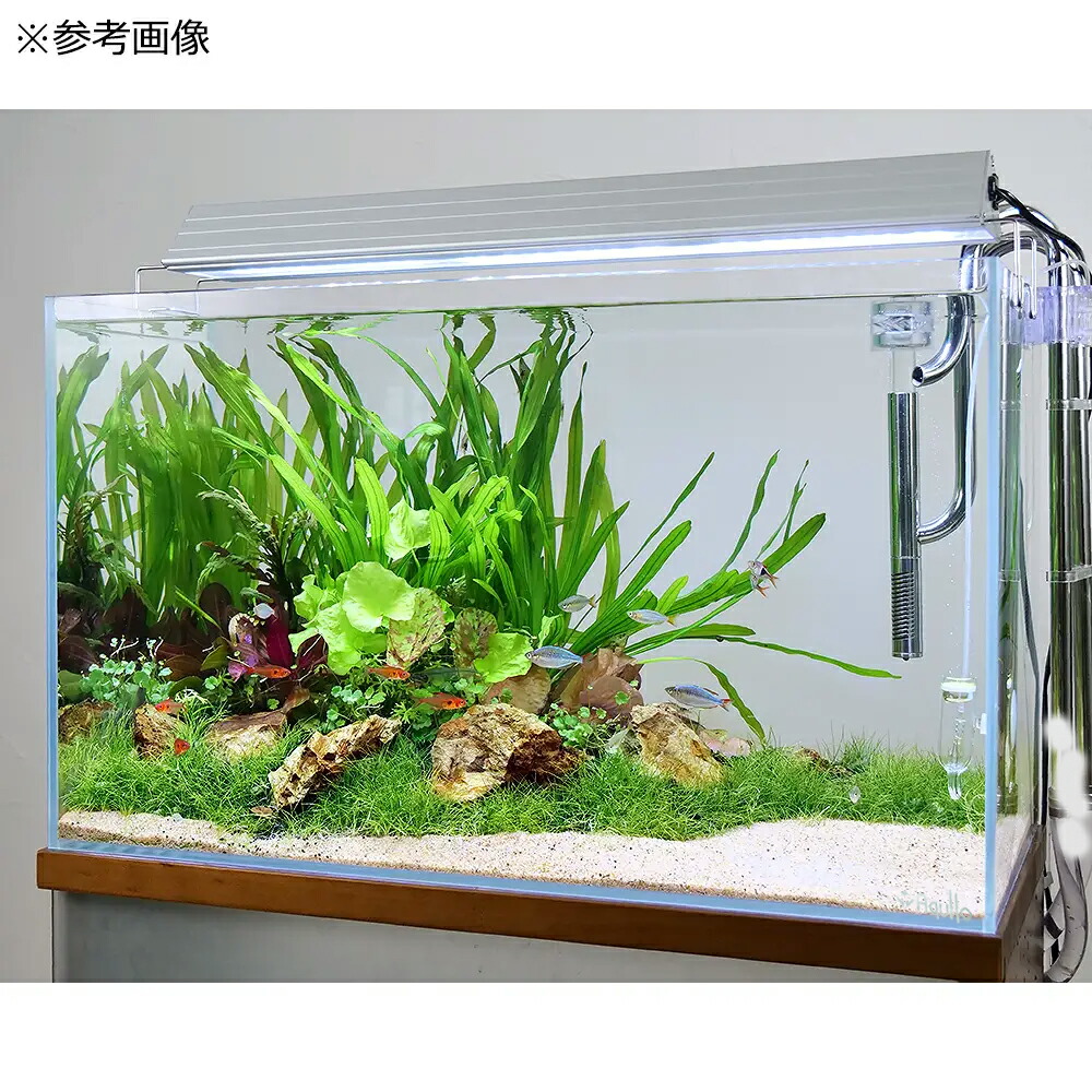 楽天市場】ガラス水槽 アクロ60 スーパークリア 60×30×36cm