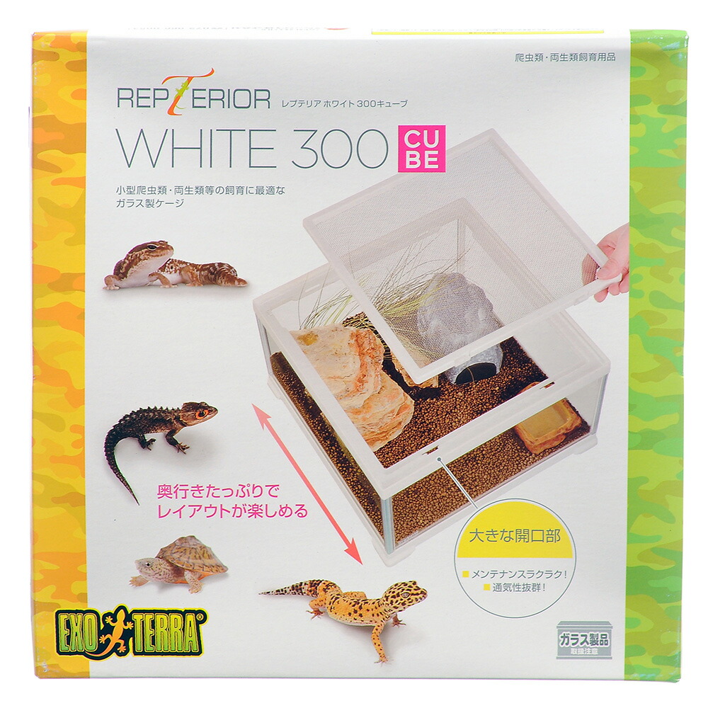 楽天市場】GEX エキゾテラ レオパ飼育キットM お一人様2点限り