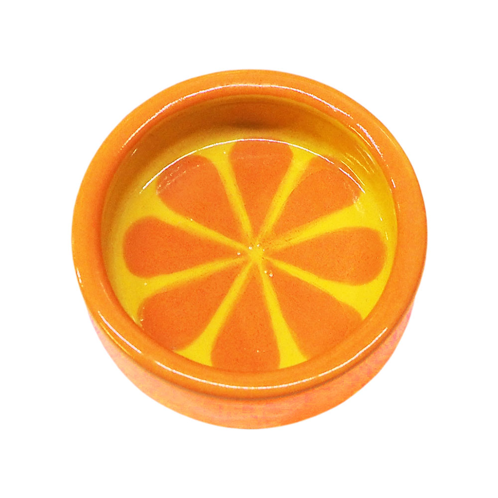 楽天市場】レインボー フルーツのおさら オレンジ エサ皿 食器 関東