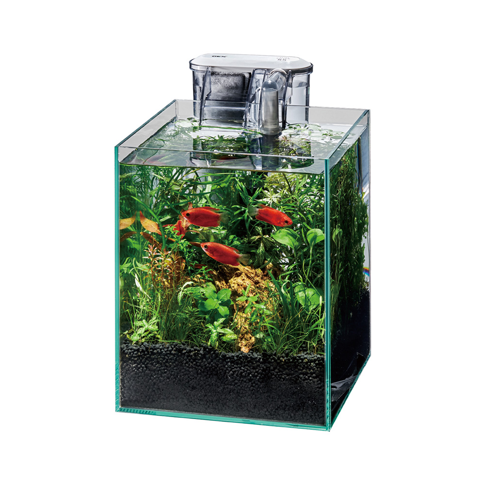 楽天市場】GEX ガラス水槽 グラステリアFL200 スリム