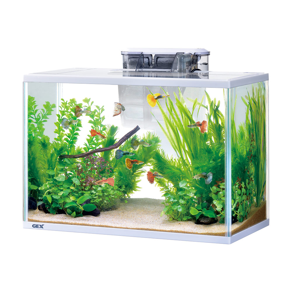 楽天市場】GEX ガラス水槽 スリムアクアセット400 外掛け
