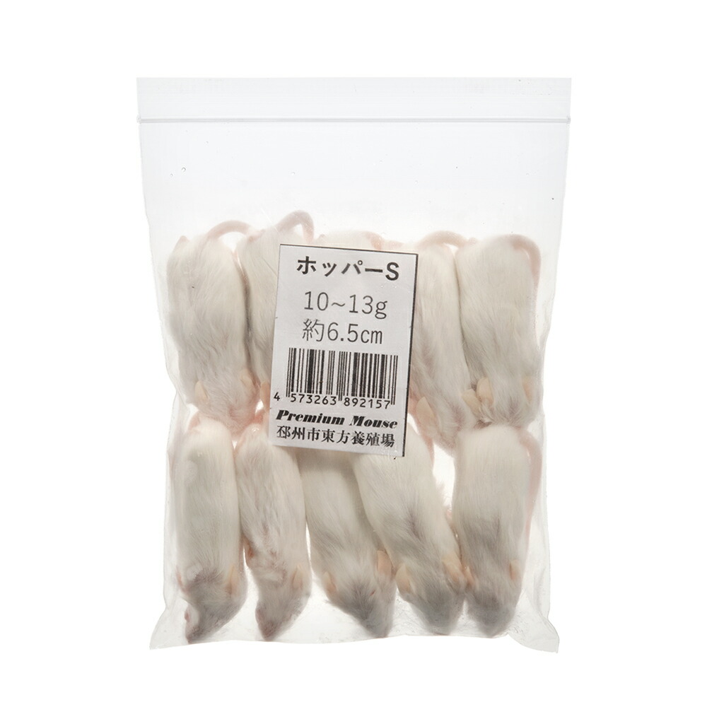 楽天市場】【3／1限定】当選確率2分の1！1等最大100％ 冷凍