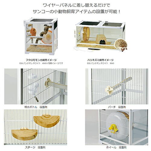 楽天市場】【3／1限定】当選確率2分の1！1等最大100％ 三晃