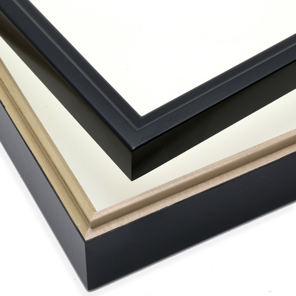 楽天市場】バードウィング製 ドイツ型標本箱 ブラック60（幅50．7