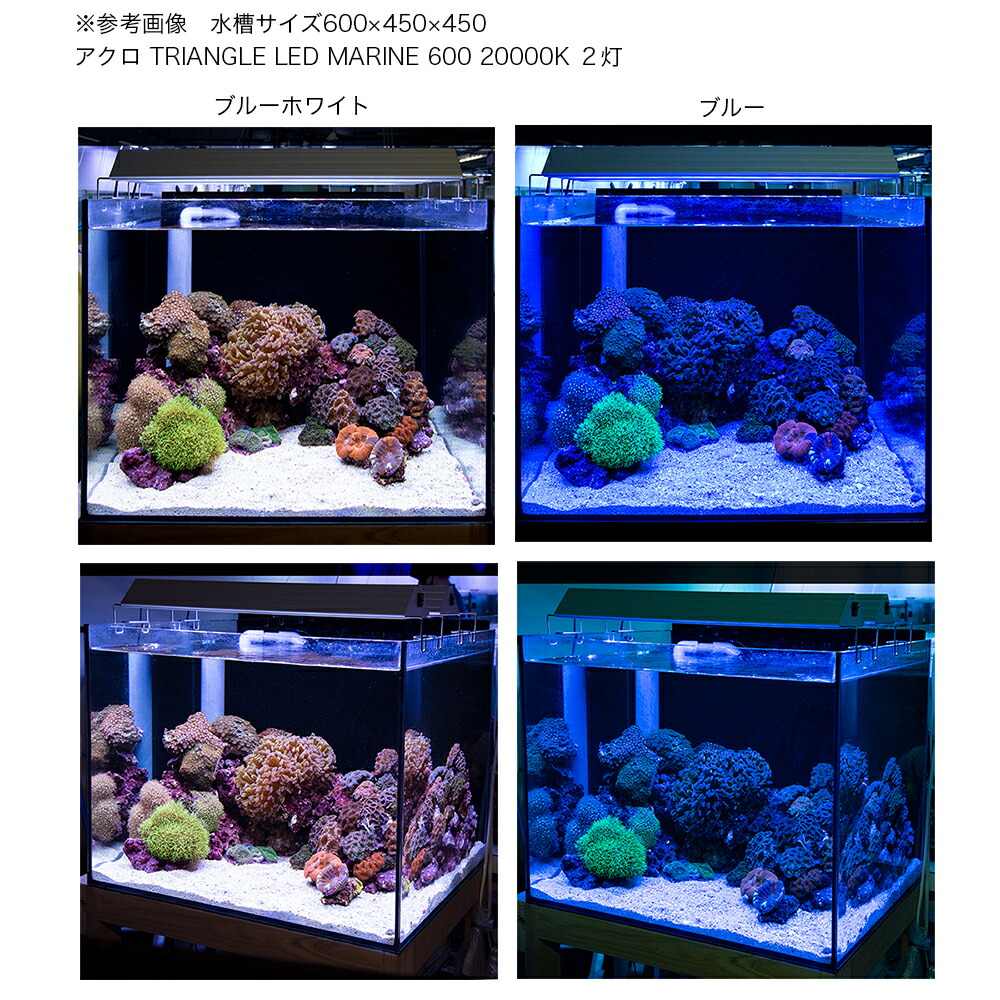 楽天市場】アクロ TRIANGLE LED MARINE 300