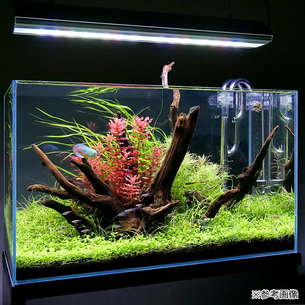 楽天市場】アクロ TRIANGLE LED GROW Pro 600