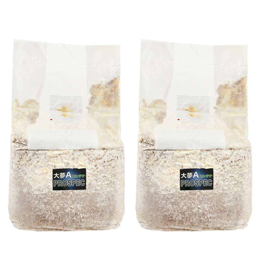 楽天市場】菌糸ブロック 大夢A プロスペック （カンタケ） ブロック