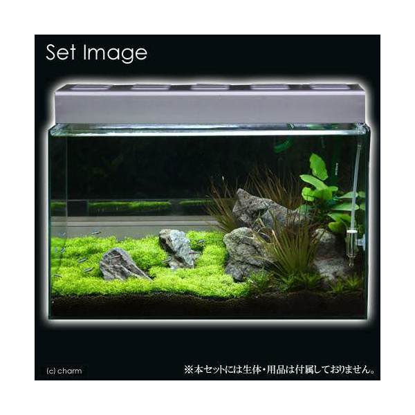 ADA 水草育成用セットミドボン用 電磁弁 水草育成用品」の人気商品一覧