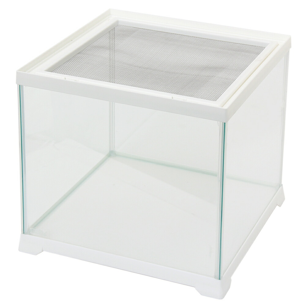 楽天市場】爬虫類ケージ GEX レプテリア ホワイト 300キューブ