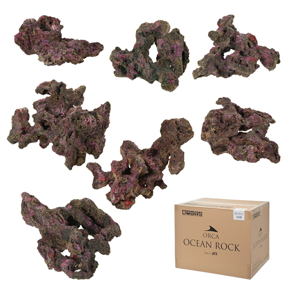 ライブロック レプリカ」の人気商品一覧 | 安い商品を通販サイトから