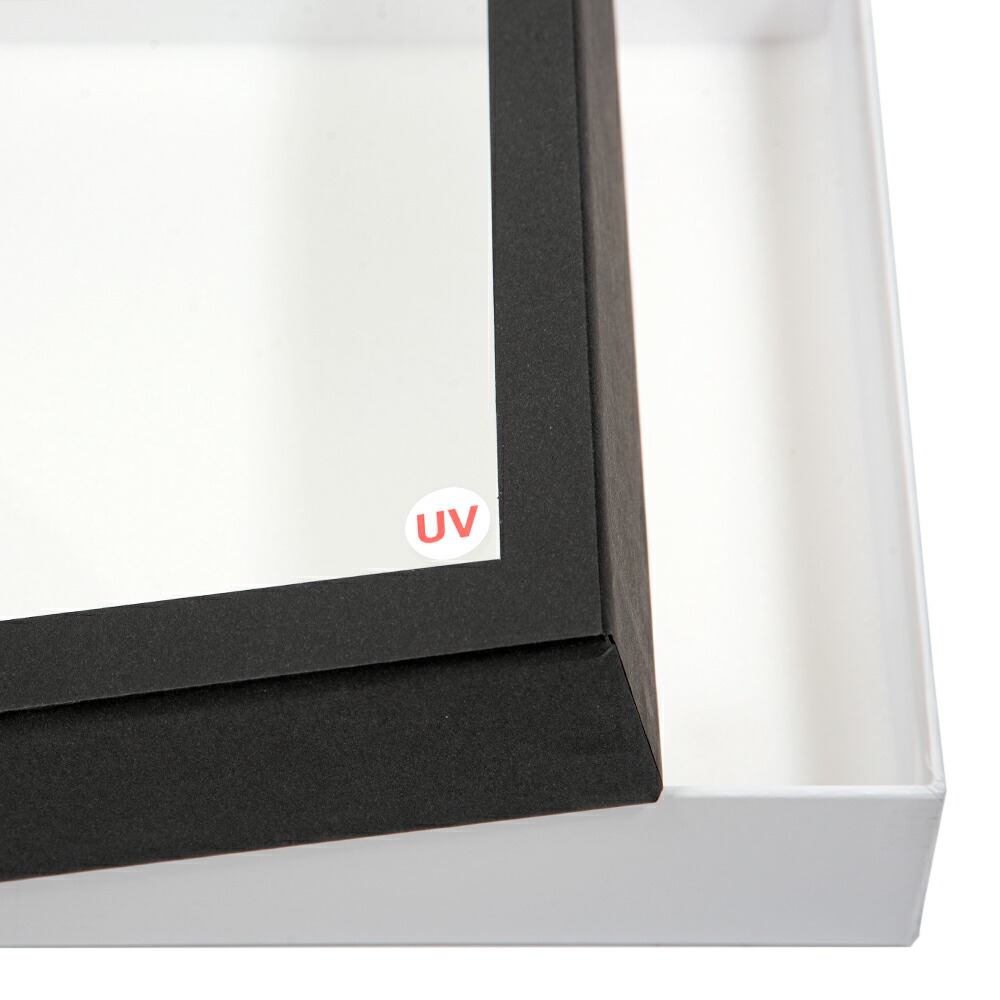 楽天市場】バードウィング製 UVカット紙製標本箱 ミニ （幅25
