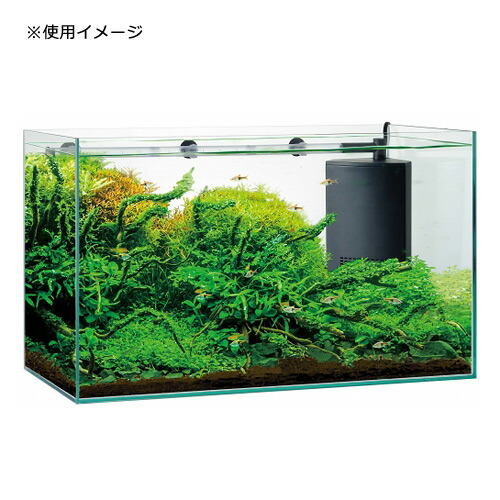 楽天市場】GEX グラステリアサイレント 600ST 60cm水槽